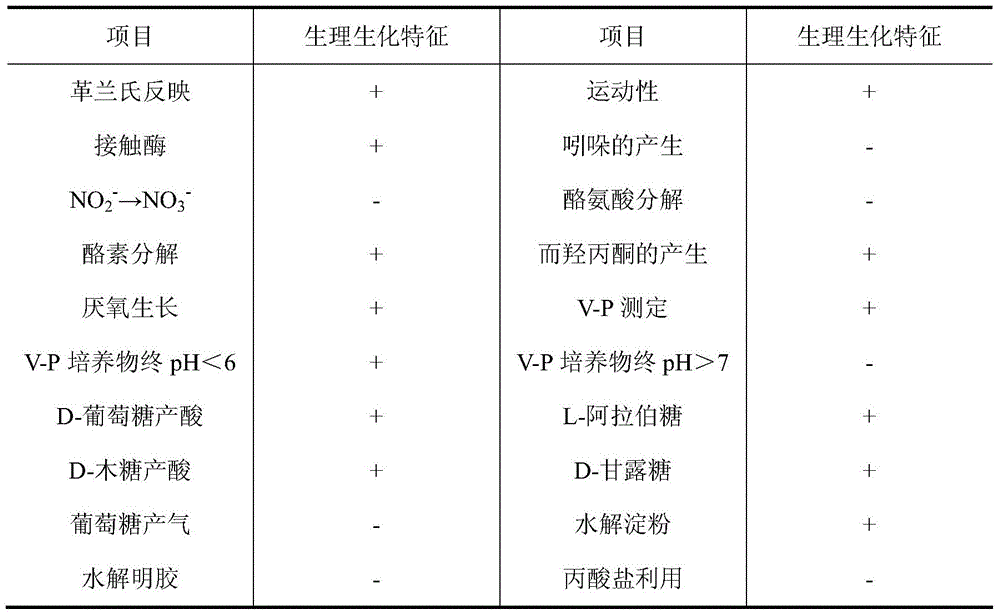 Bacillus coagulans and its preparation method and application in biological deodorant