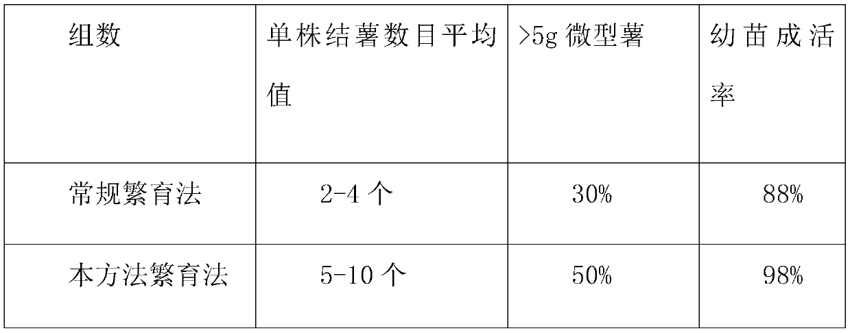 Method for breeding breeder's seeds of potatoes with coconut coir as medium