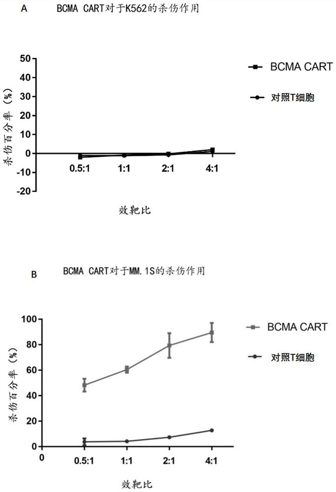 A kind of bcma chimeric antigen receptor based on single domain antibody and its application