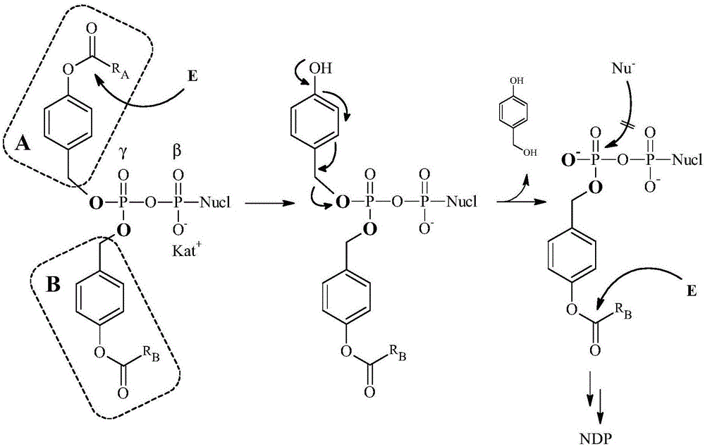 Di- and triphosphate prodrugs