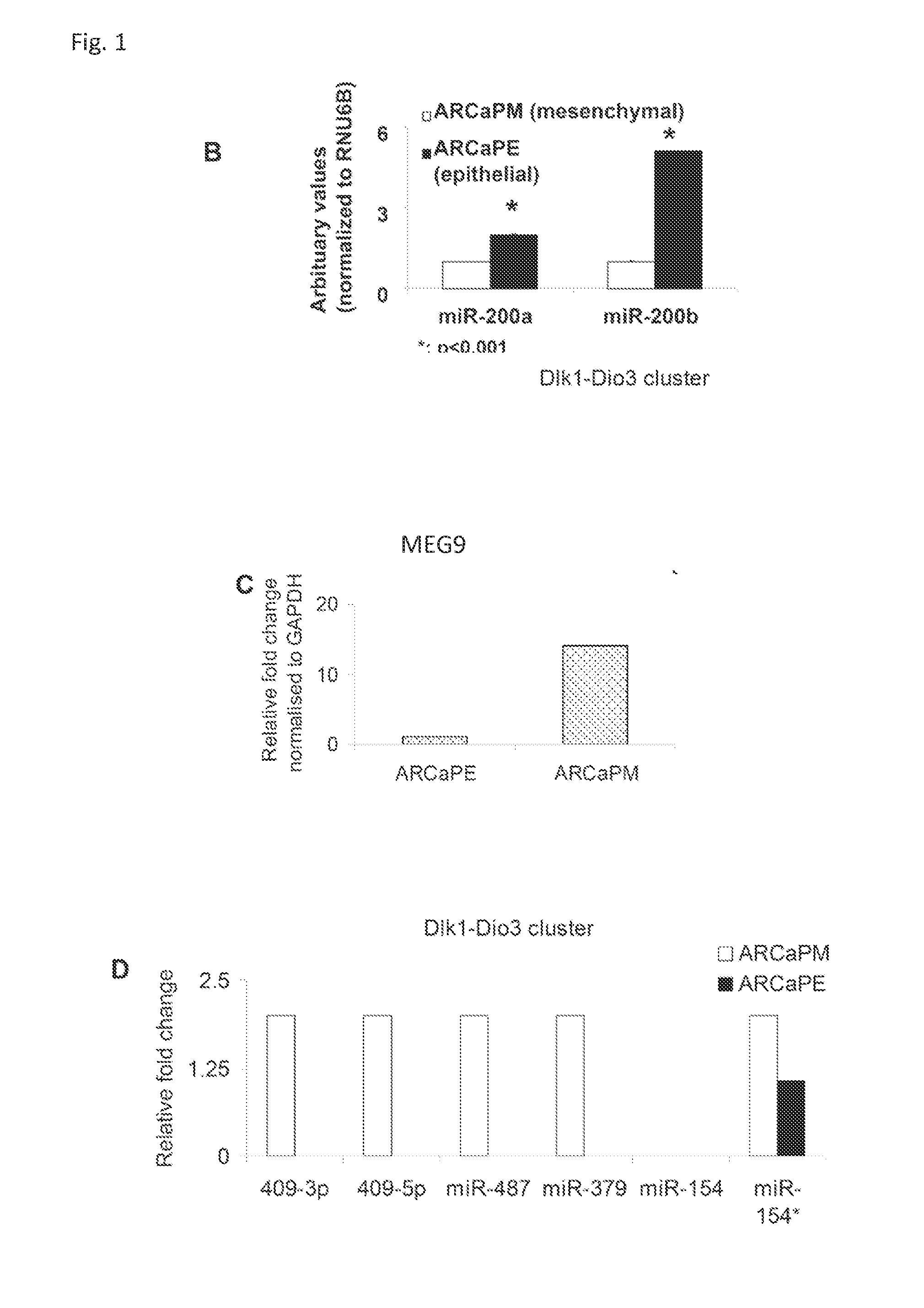 Targeting micrornas mir-409-5p, mir-379 and mir-154* to treat prostate cancer bone metastasis and drug resistant lung cancer