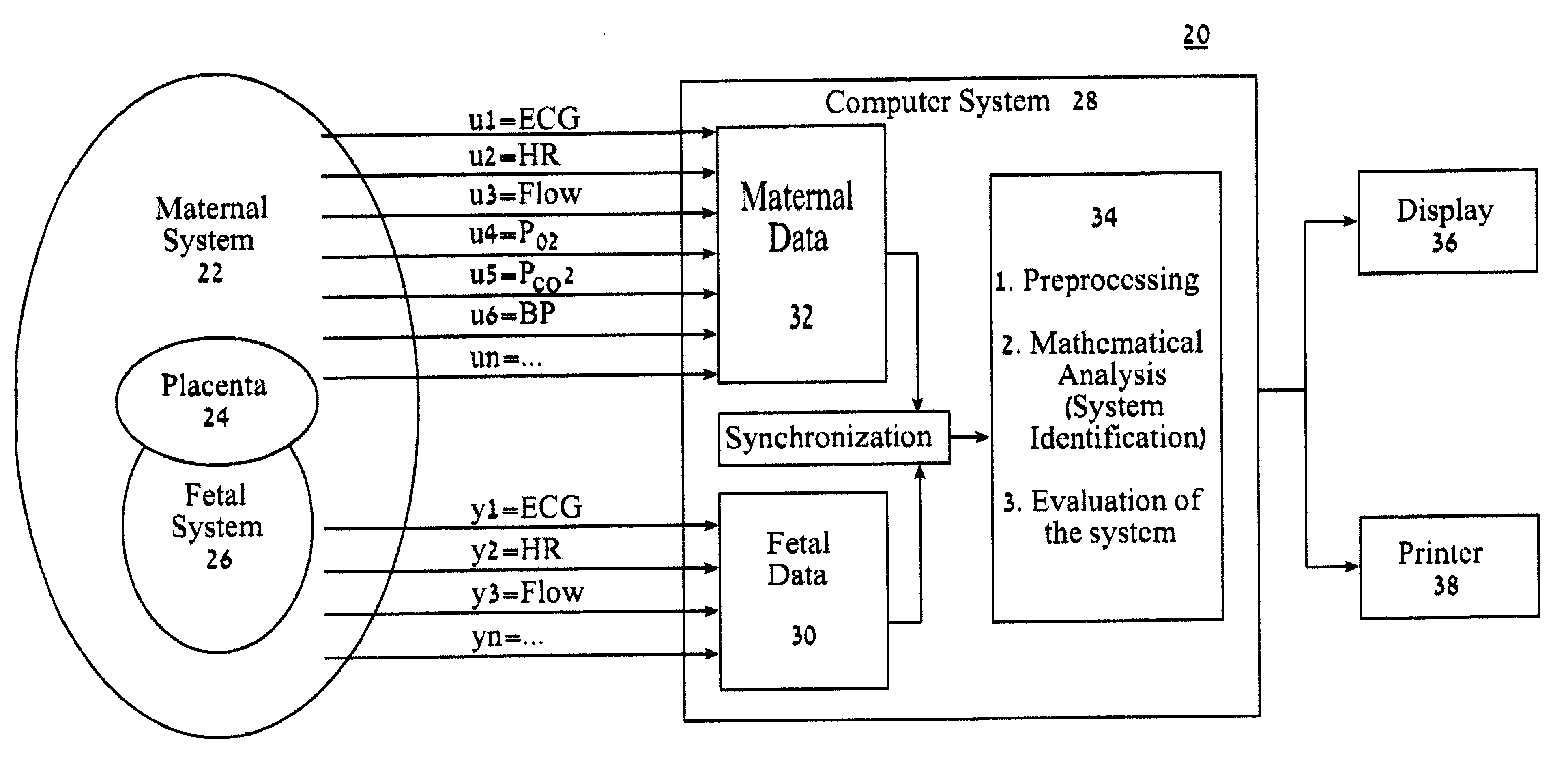 Method and system for system identification of physiological systems