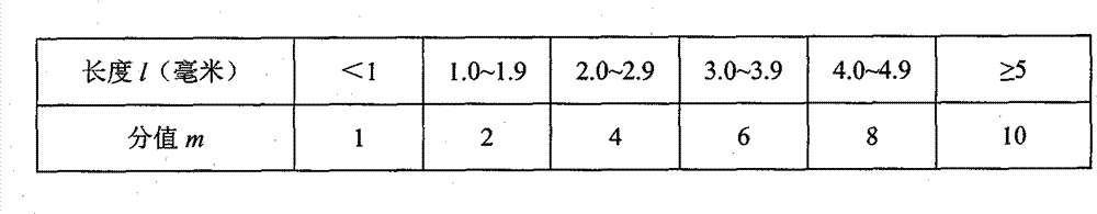 Pipeline steel Charpy specimen fracture separation degree grading method