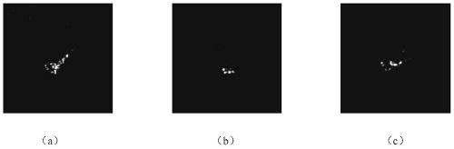 SAR Image Classification Method Based on Sparse Representation and Gaussian Distribution