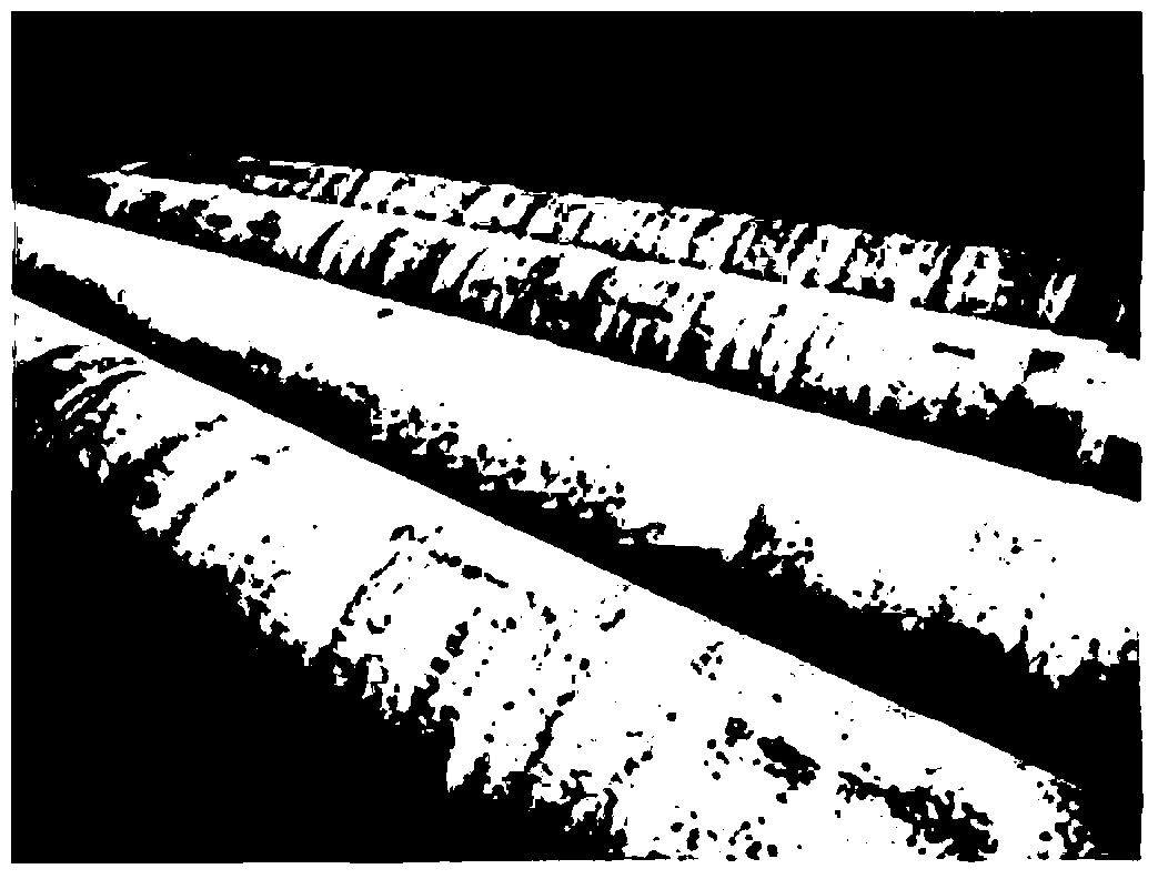 Coating raw material composition, ductile iron pipe and preparation method thereof