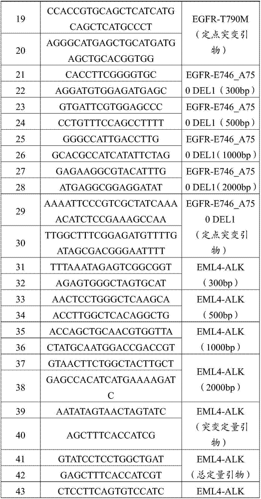 Quality control product for detecting fragmented DNA (Deoxyribonucleic Acid) mutation and preparation method thereof