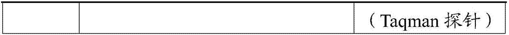 Quality control product for detecting fragmented DNA (Deoxyribonucleic Acid) mutation and preparation method thereof