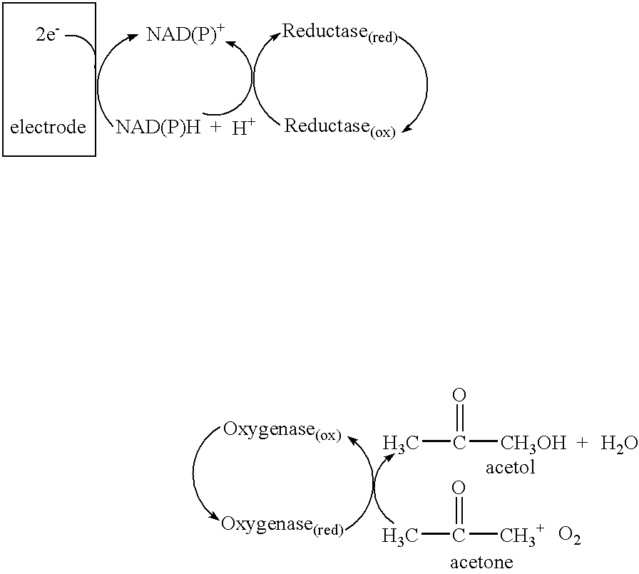 Enzyme-based system and sensor for measuring acetone