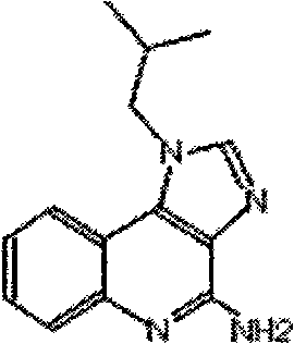 Compound immunological adjuvant and vaccine