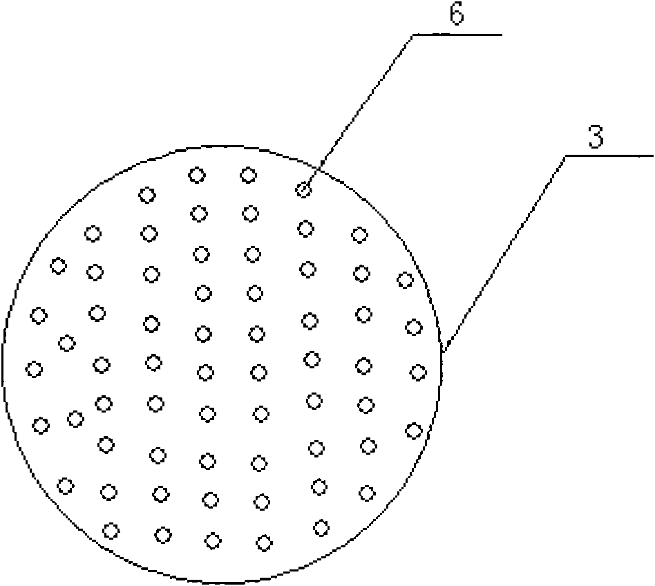 Earthworm ecological treatment reactor for municipal sludge