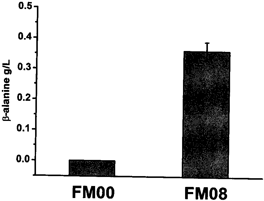 Recombinant bacteria for producing beta-alanine as well as construction method and application of recombinant bacteria