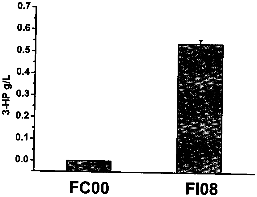 Recombinant bacteria for producing beta-alanine as well as construction method and application of recombinant bacteria