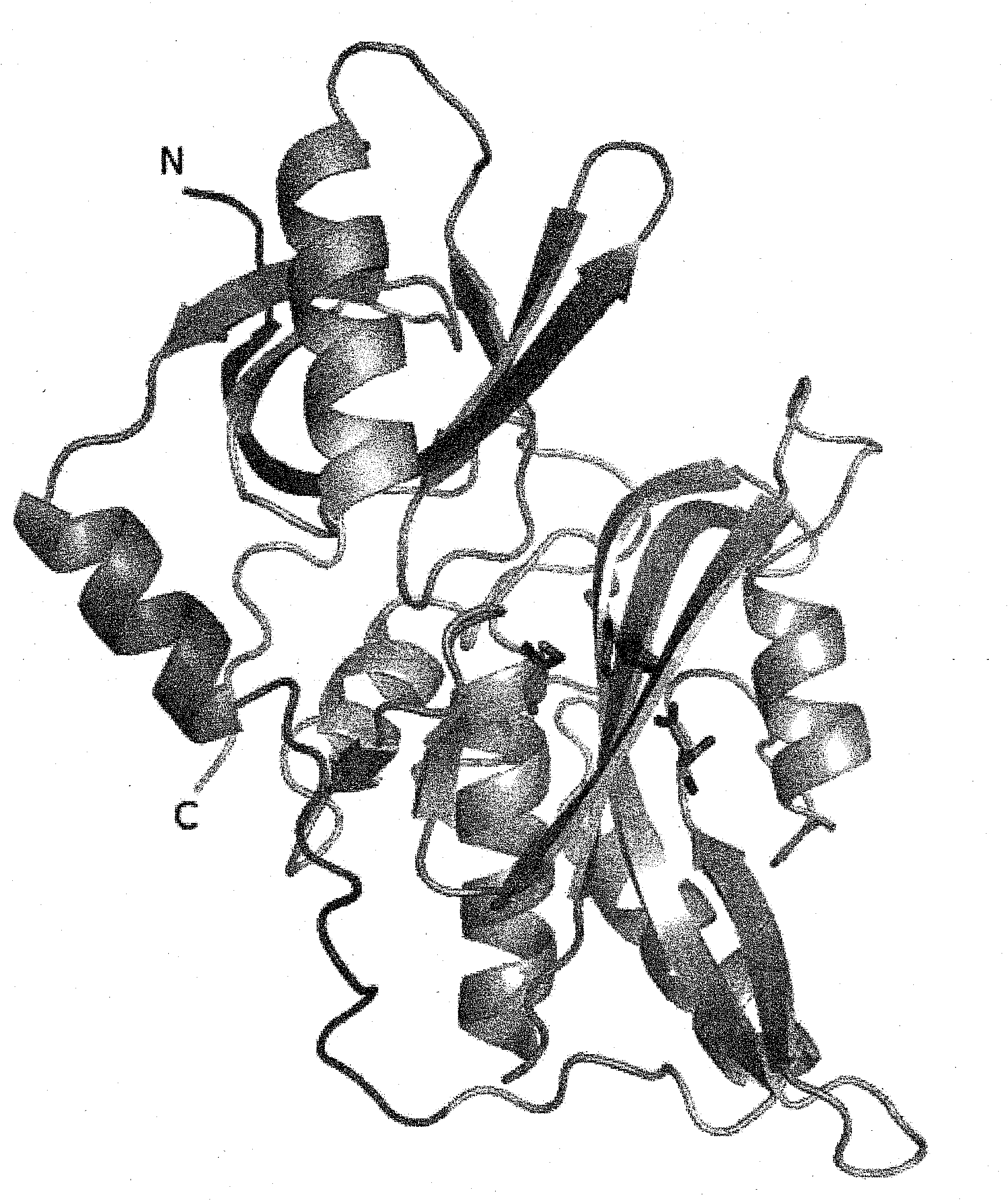 Method for designing mutant enzyme, method for preparing mutant enzyme, and mutant enzyme