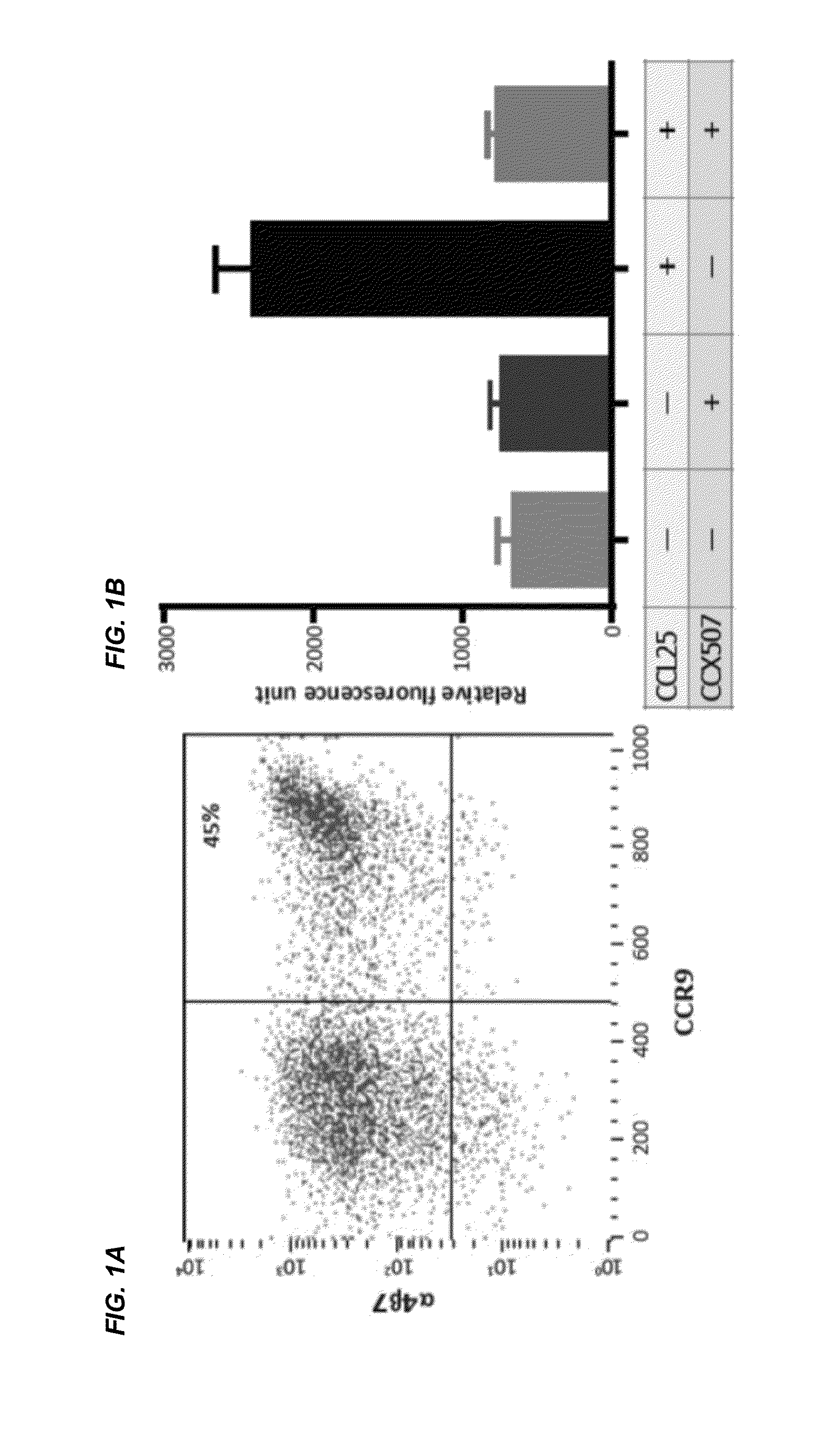 Combinations and Methods for Treating Inflammatory Bowel Disease Using a Combination Therapy of Small Molecule Inhibitors of C-C Chemokine Receptor 9 (CCR9) and Anti-alpha4beta7 Integrin Blocking Antibodies