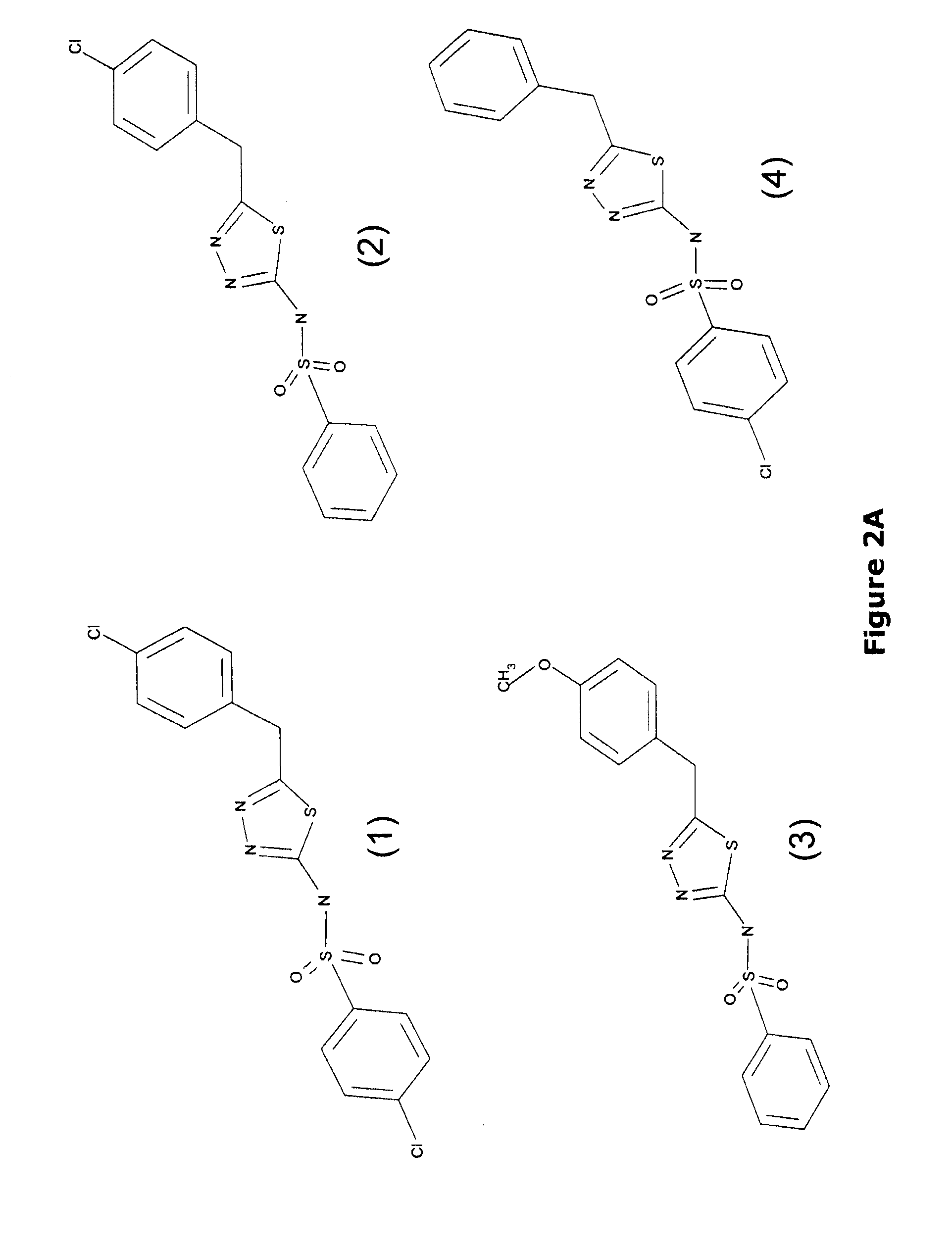 Gamma-glutamyl transpeptidase inhibitors and methods of use