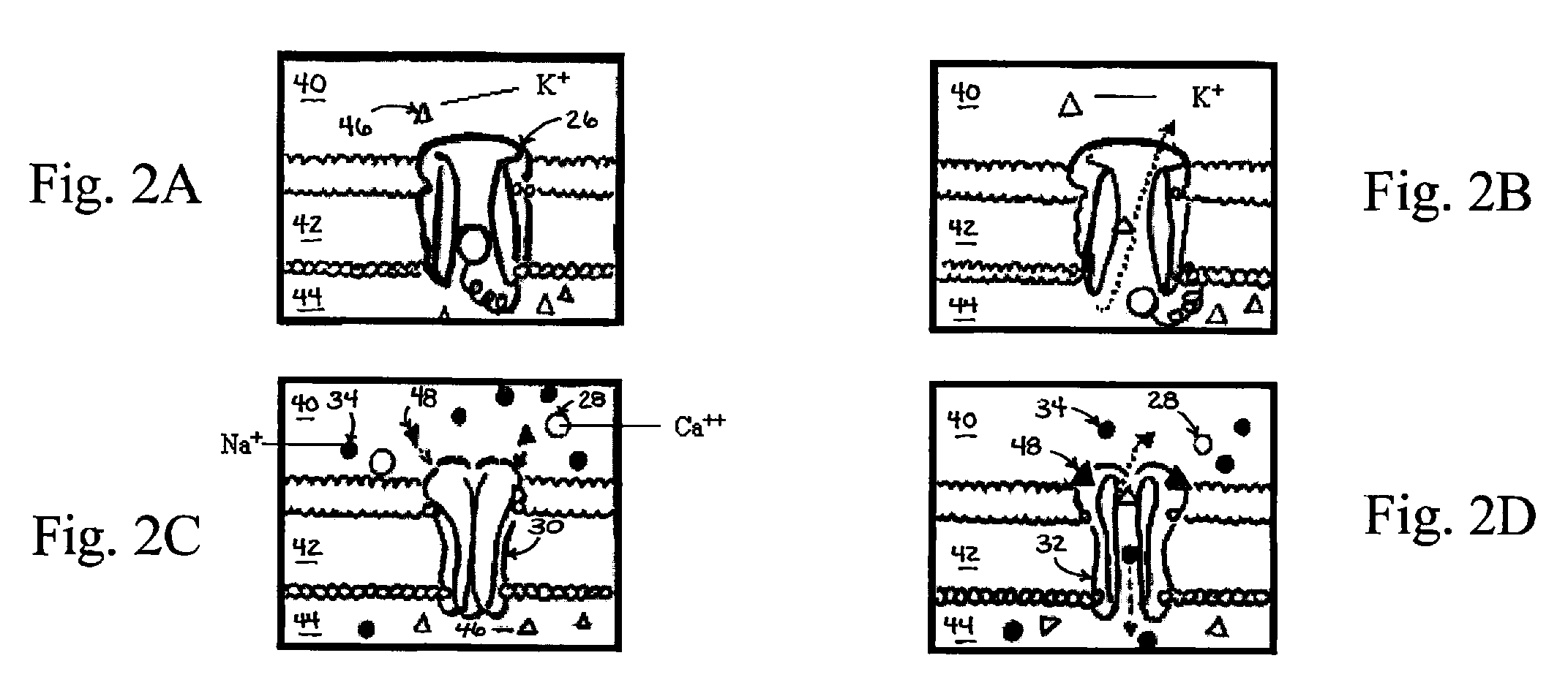 Topical Eutectic Anesthetic Composition for Oral or Dermal Tissue