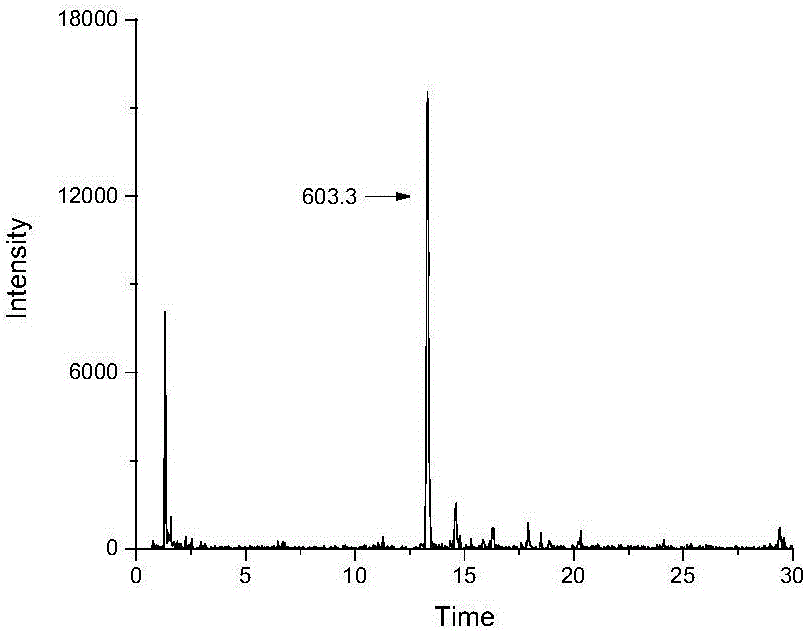 Method for identifying apostichopus japonicus by means of specific peptide fragment group