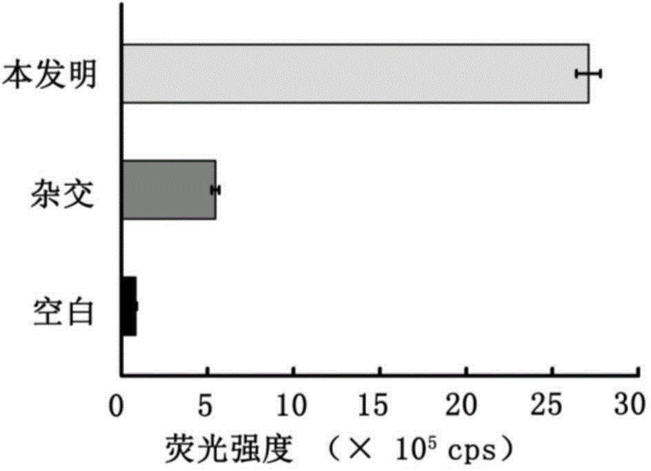 Small RNA (ribonucleic acid) detection kit and quantitative method based on unbiased recognition and isothermal amplification