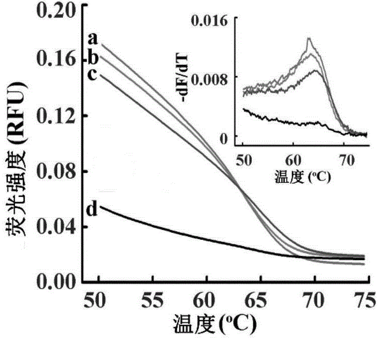 Small RNA (ribonucleic acid) detection kit and quantitative method based on unbiased recognition and isothermal amplification