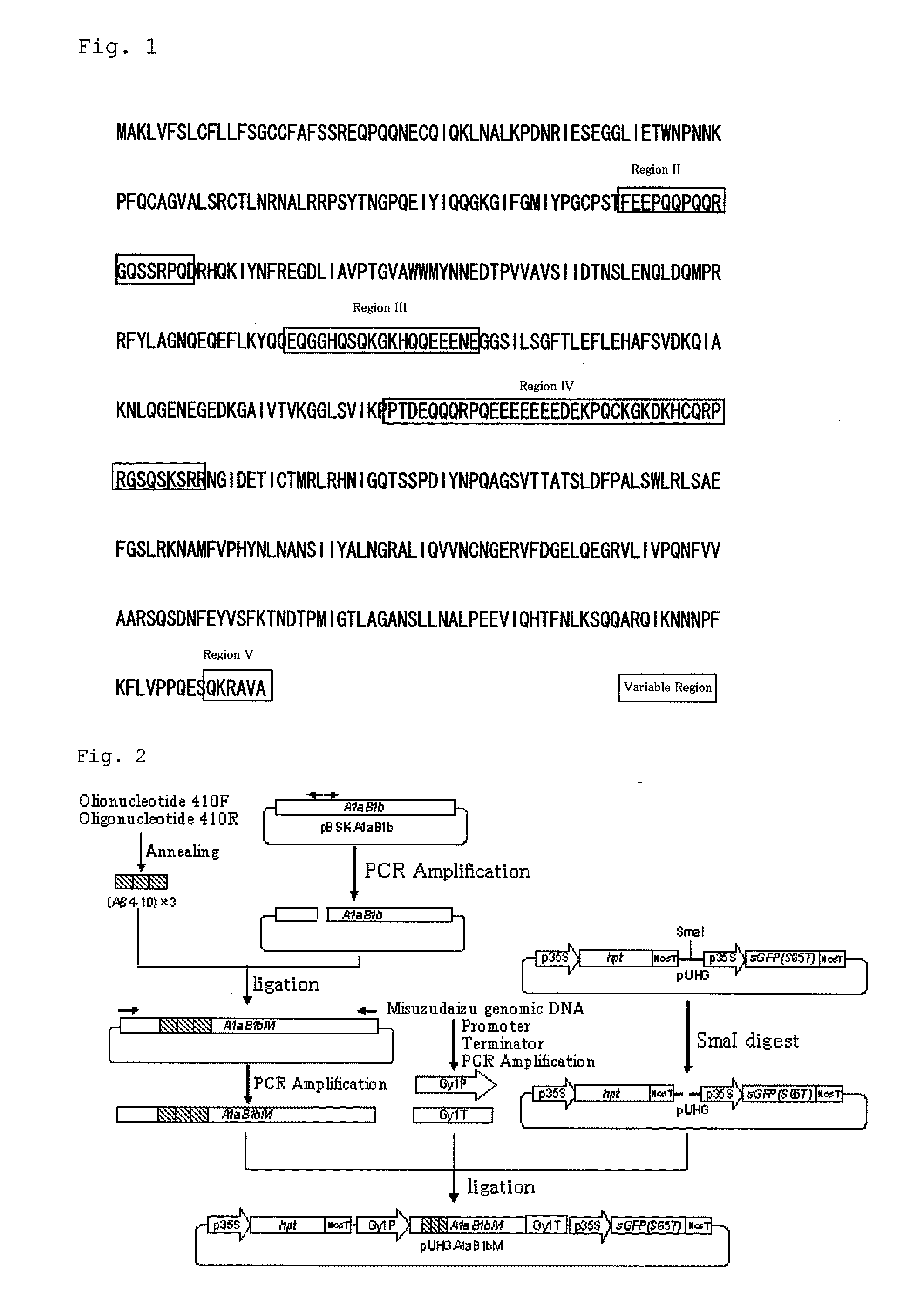 Transformed soybean plant which accumulates vaccine, and use thereof