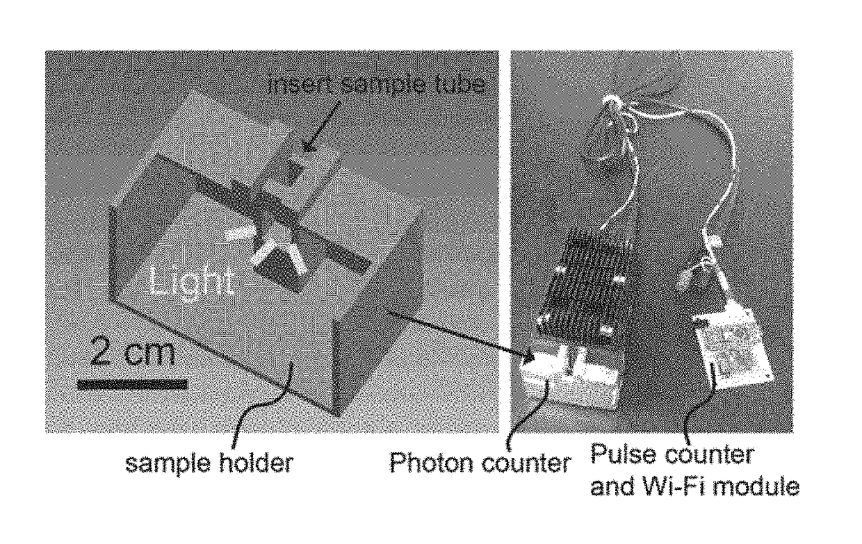 Systems and methods for detection of chemiluminescent reactions