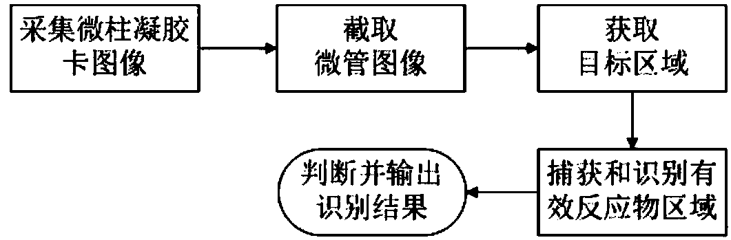 Micro-column gel card agglutination test result recognition method