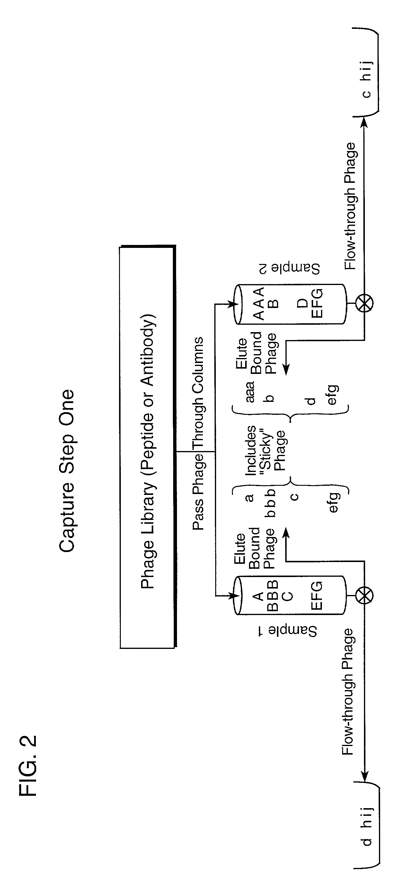 Differential phage capture proteomics