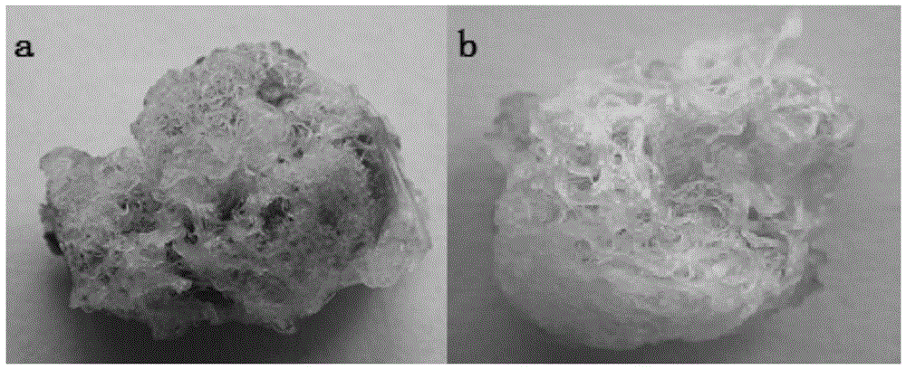 A kind of method for in vitro culture of colored cotton ovules