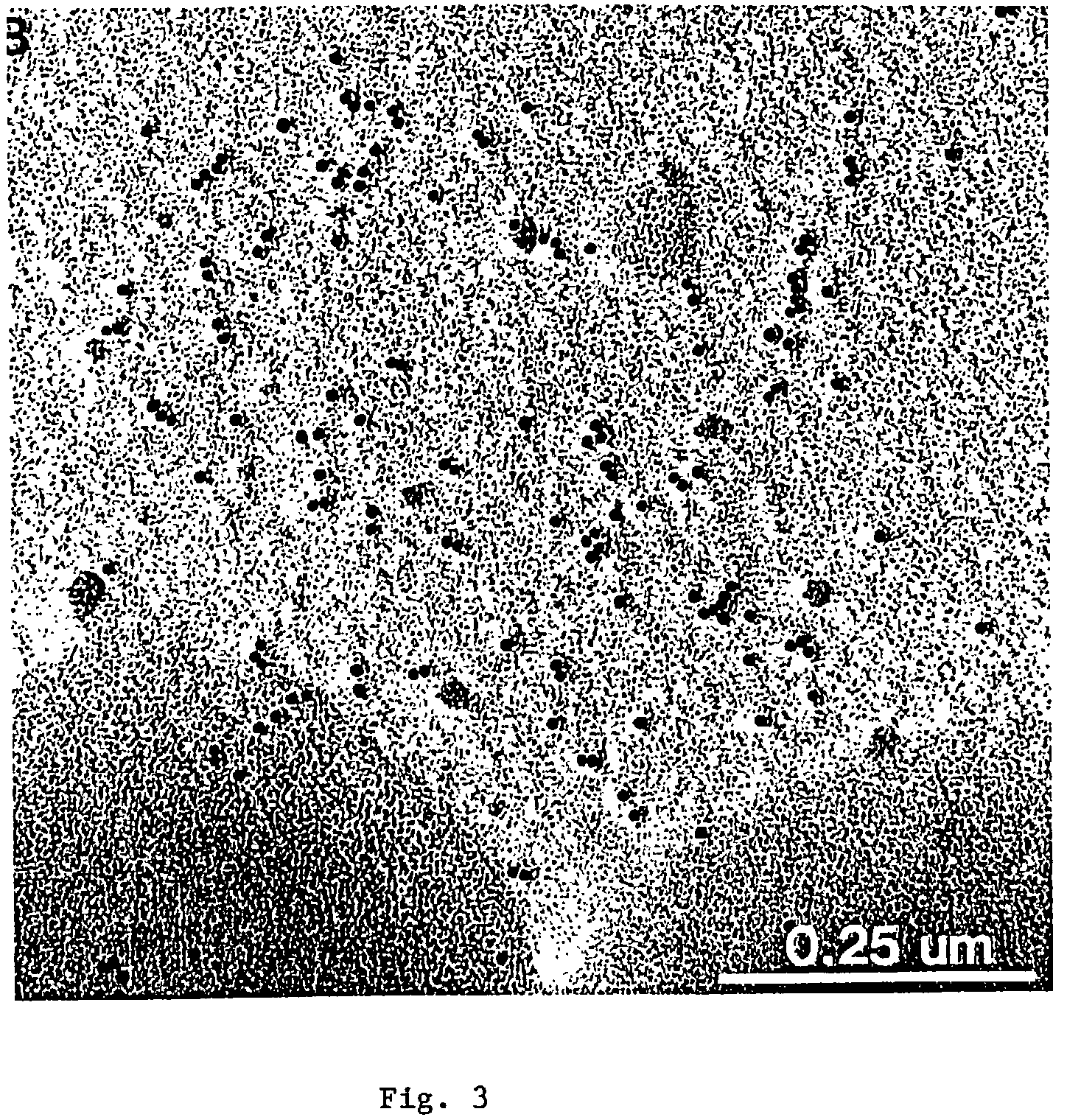 Synthetic chimeric fimbrin peptides