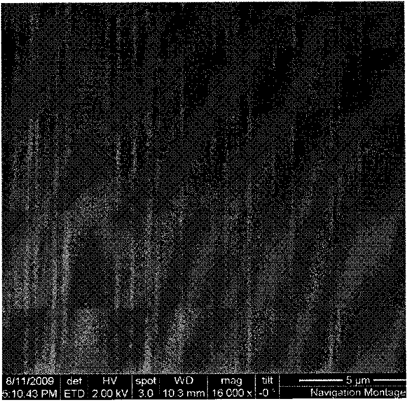 Carbon nanotube array organic pollutant sensor and application thereof