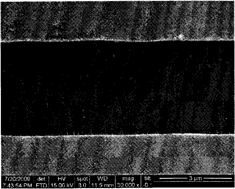 Carbon nanotube array organic pollutant sensor and application thereof