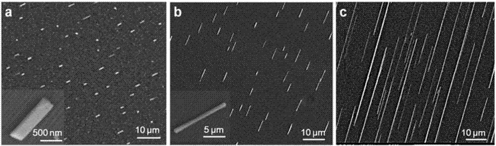 Preparation method of nanoscale laser array