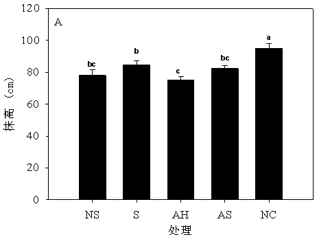 Remediation method for heavy metal pollution in soil