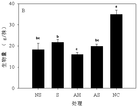 Remediation method for heavy metal pollution in soil