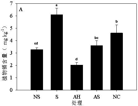 Remediation method for heavy metal pollution in soil