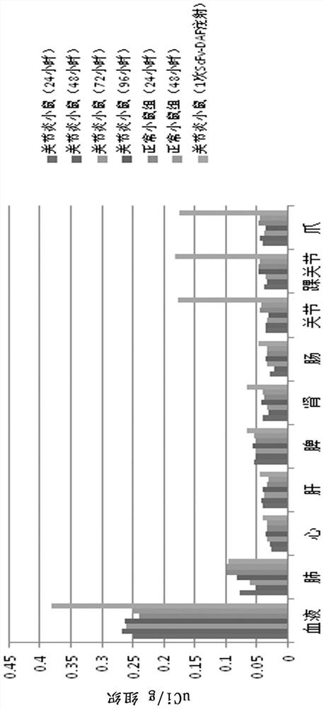 A fusion protein and application of an anti-c3d targeting single-chain antibody and daf