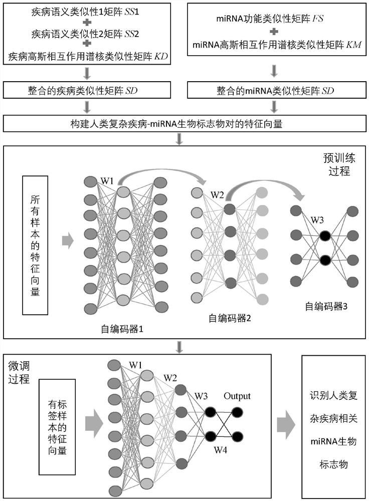 miRNA biomarker identification method and system based on stack auto-encoder