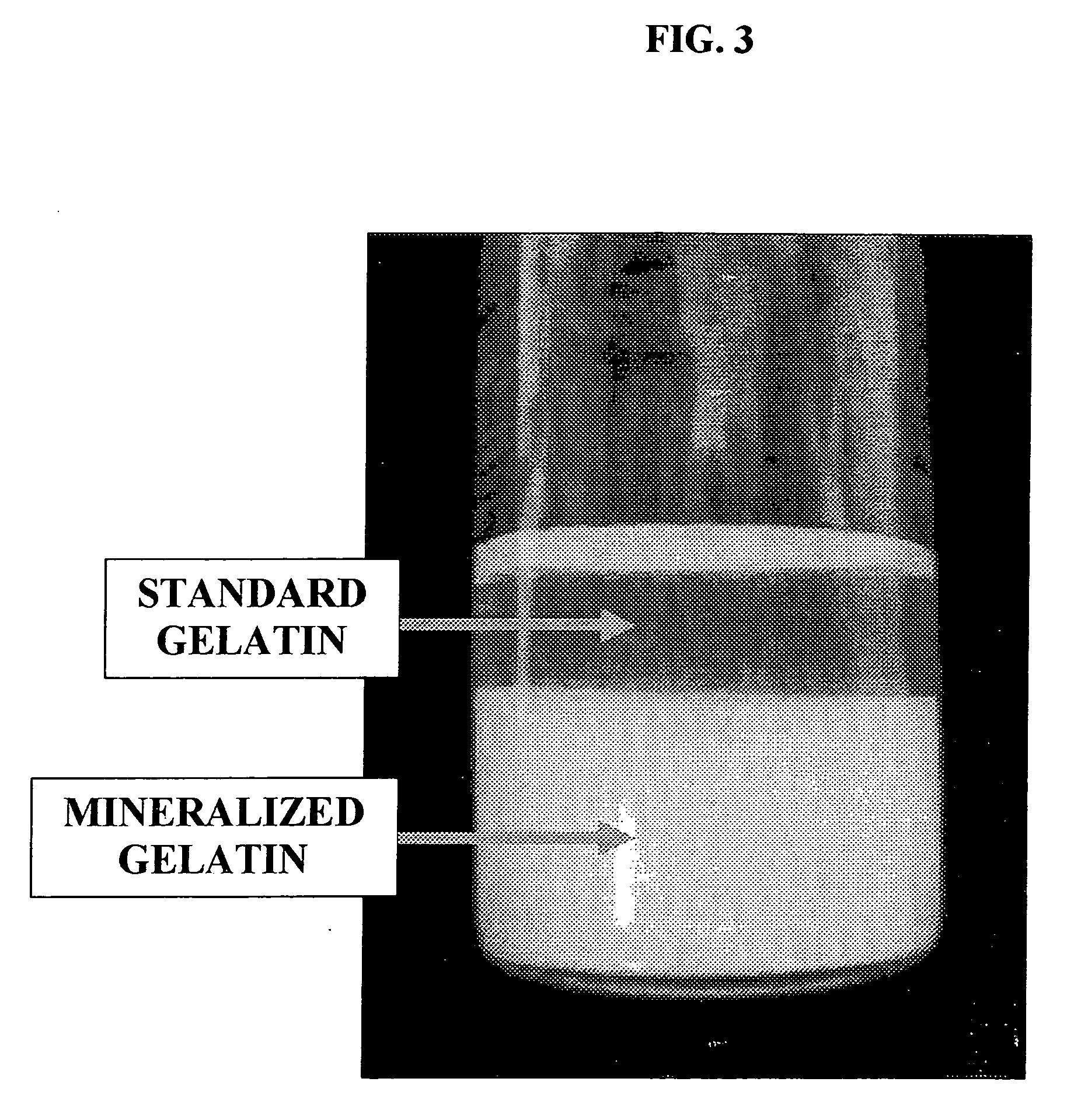 Bone graft materials derived from mineralized gelatin