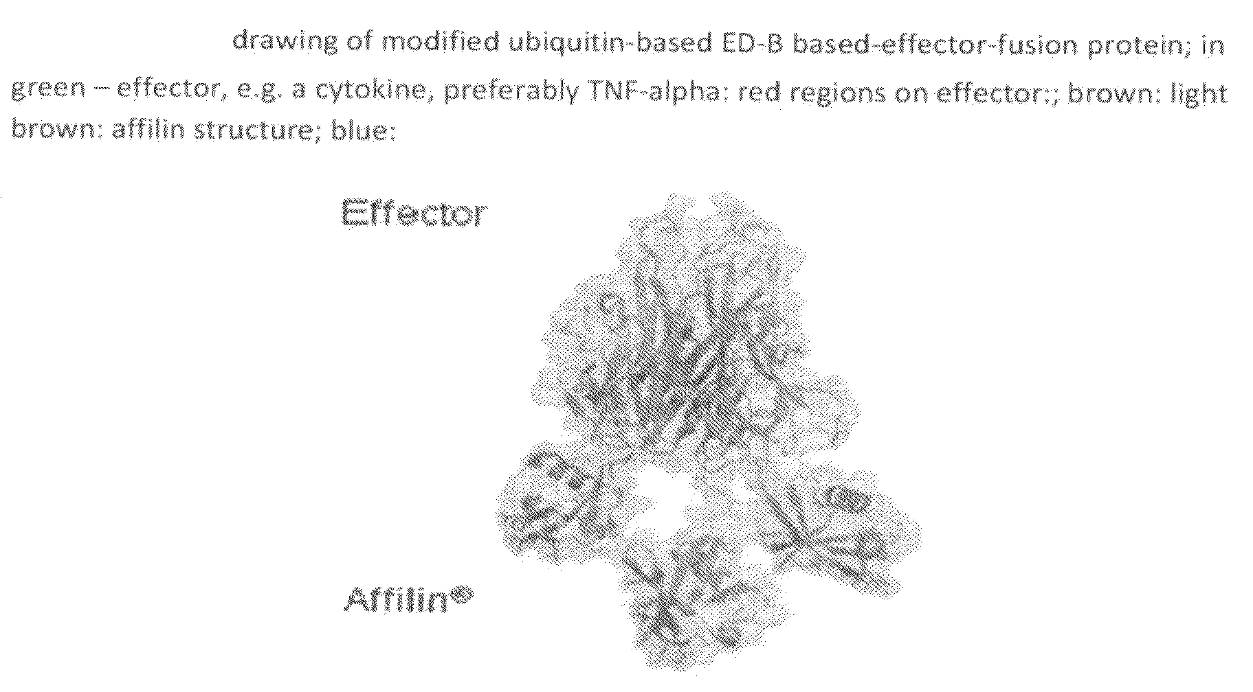 Modified ubiquitin proteins having a specific binding activity for the extradomain b of fibronectin