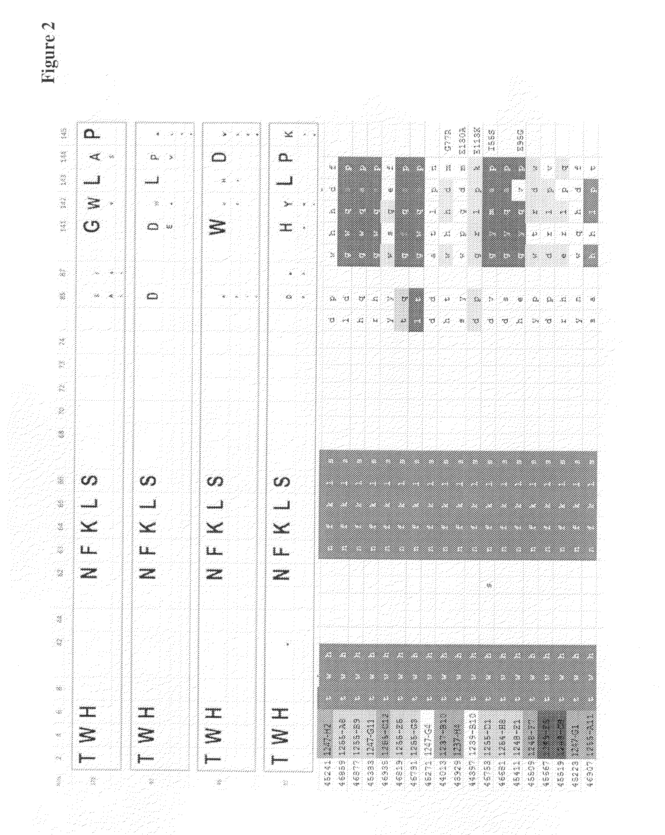 Modified ubiquitin proteins having a specific binding activity for the extradomain b of fibronectin