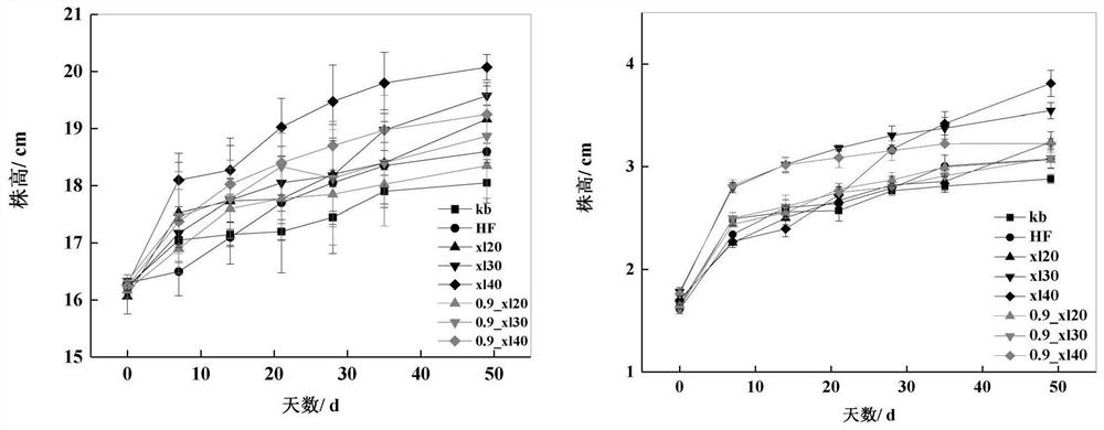 Straw carbon-based microbial flower fertilizer as well as preparation method and application thereof