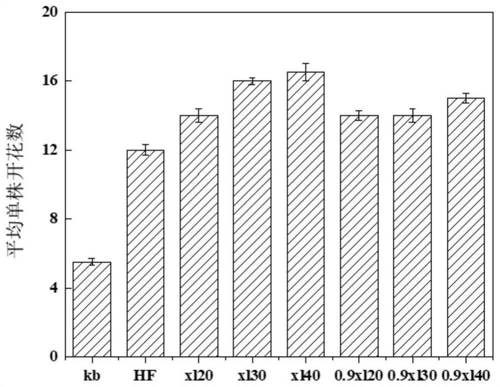 Straw carbon-based microbial flower fertilizer as well as preparation method and application thereof