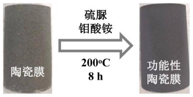 Preparation and application of Fenton promoter for continuous flow drug wastewater treatment