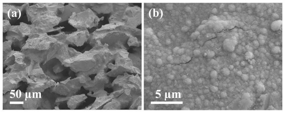 Preparation and application of Fenton promoter for continuous flow drug wastewater treatment