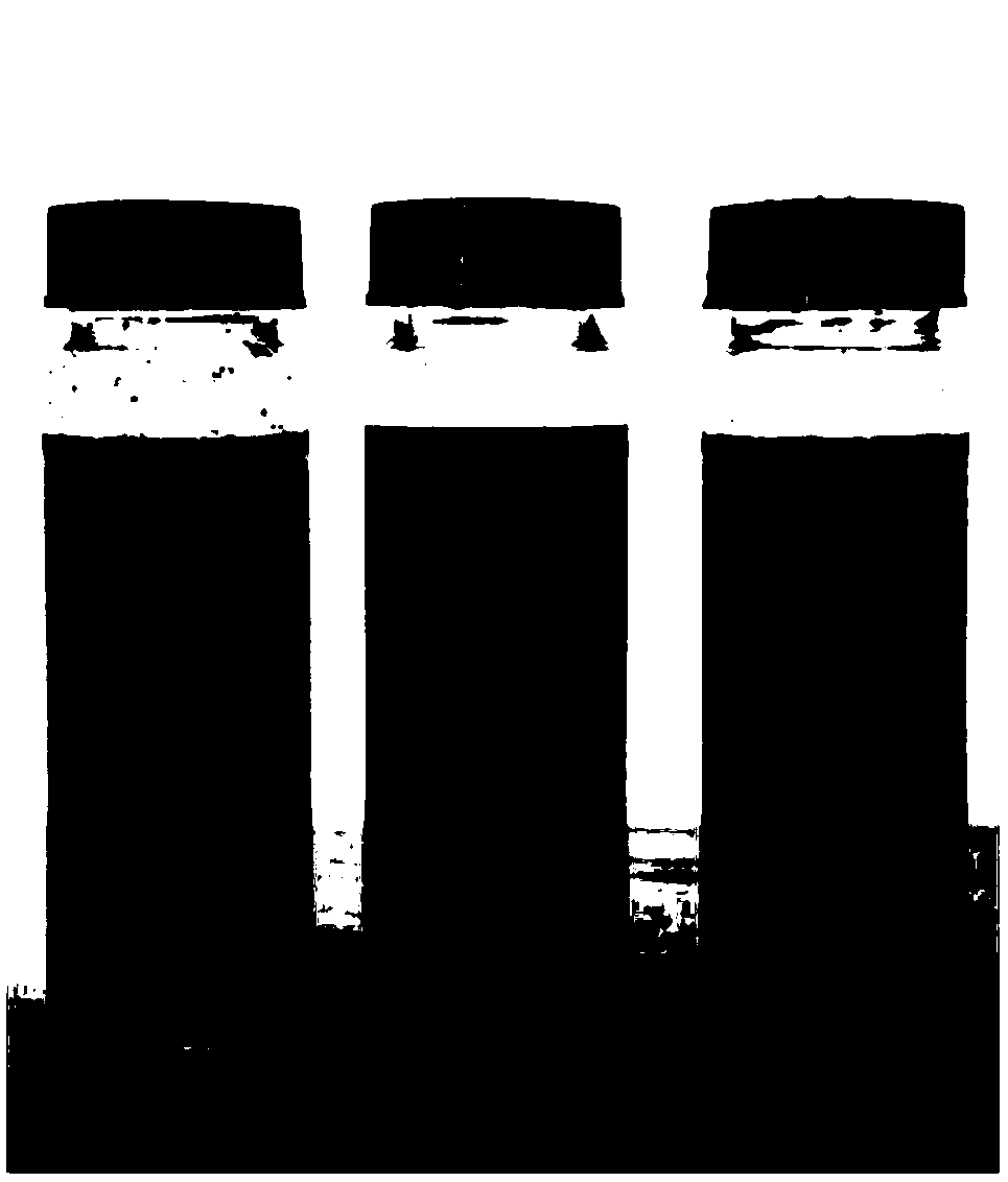 A kind of preparation method of polyester fiber with catalytic degradation function