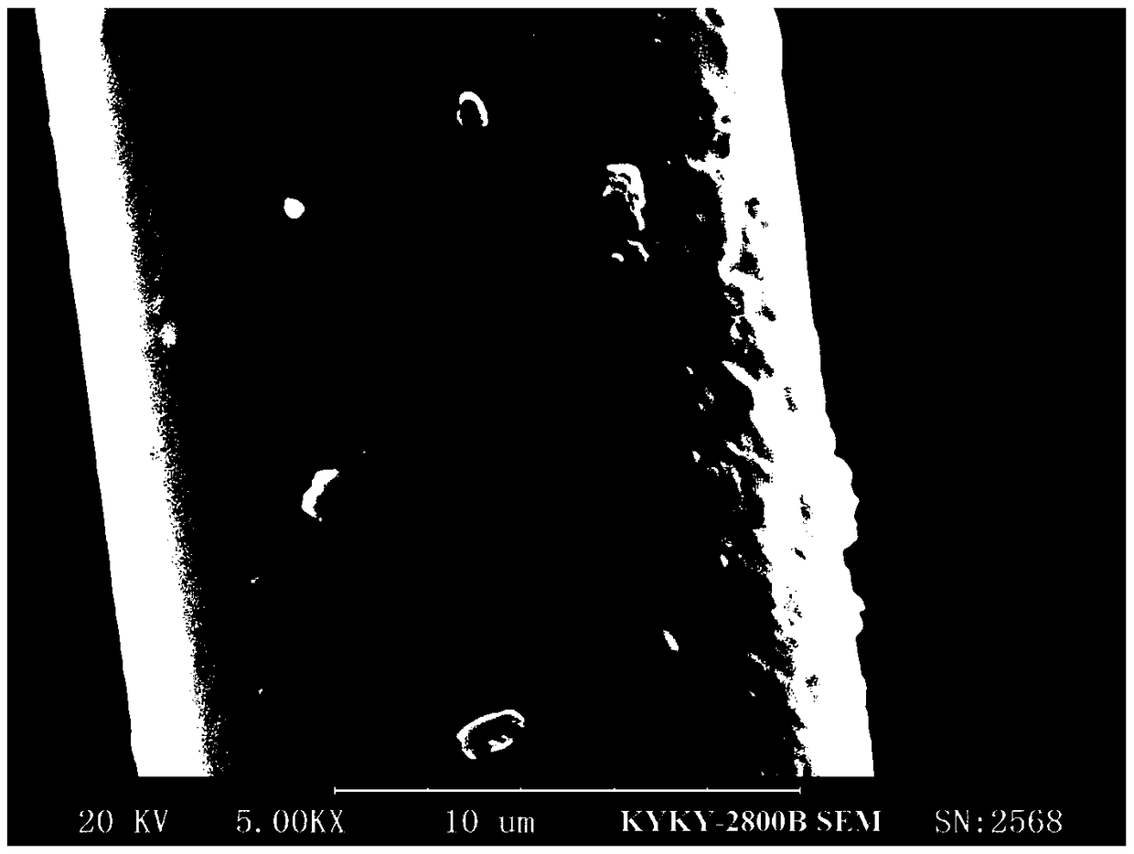 A kind of preparation method of polyester fiber with catalytic degradation function