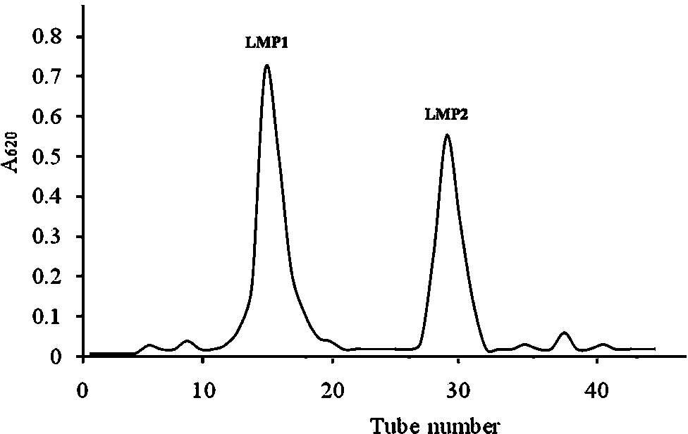 Composition containing mushroom mycelium polysaccharides and applications thereof