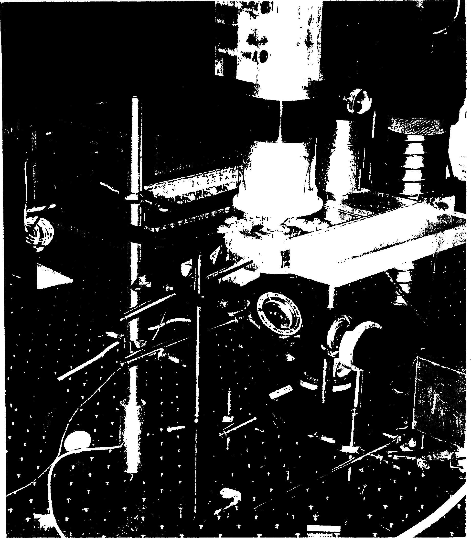 Capillary array electrophoretic ratating laser scanning co-focusing fluorescent inspecting instrument