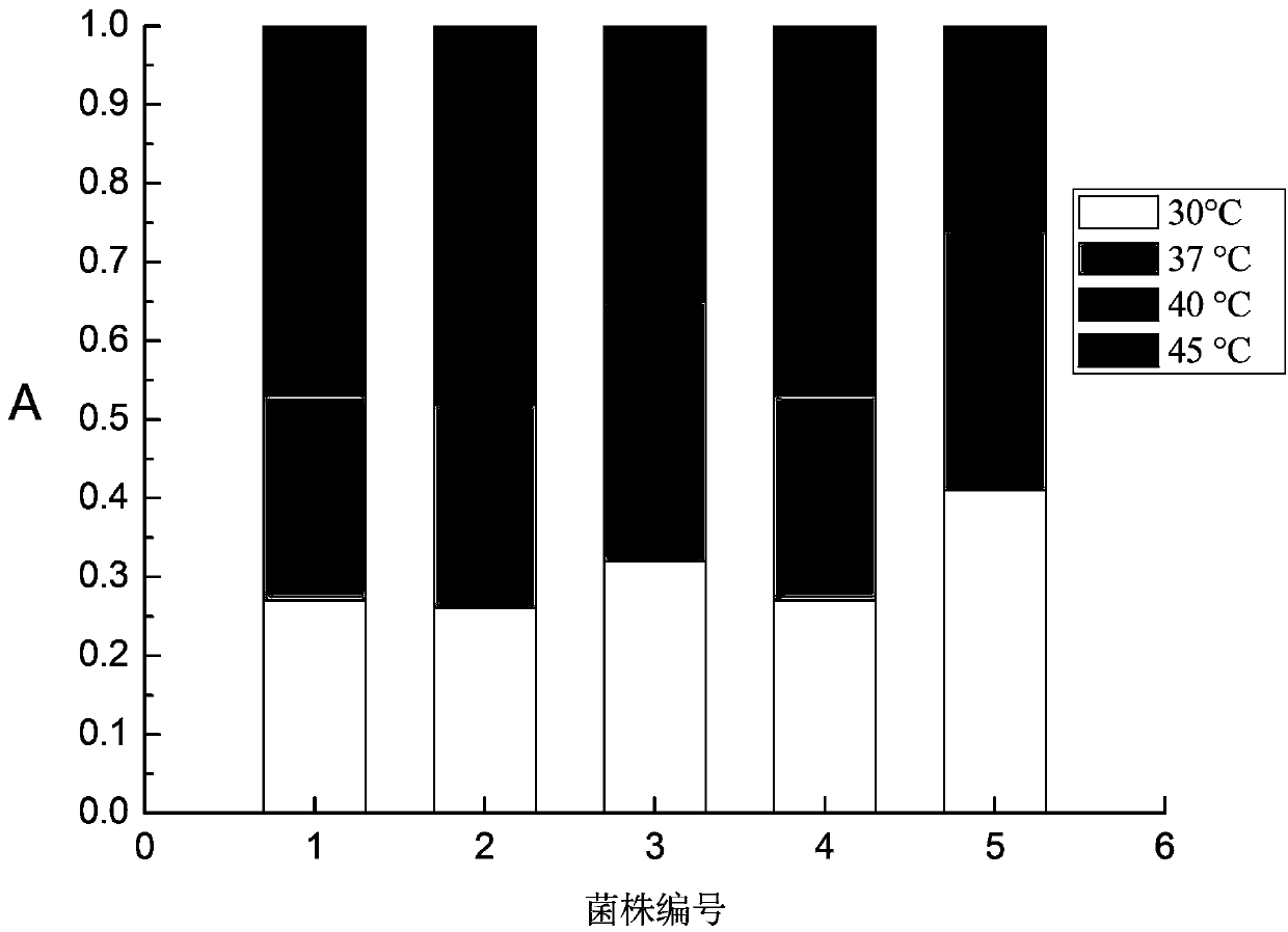 Low Fusel Oil Yield Yeast and Its Application in Mechanized Production of Xiaoqu Liquor