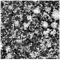 Preparation and application of Raman enhancer